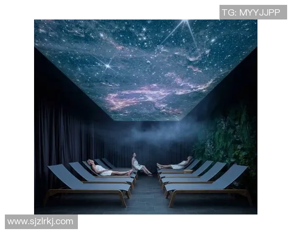 以室内泳池为中心打造高端休闲空间营造舒适与奢华并存的水上乐园体验